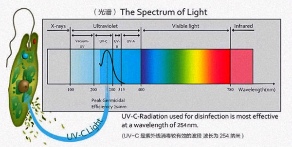 紫外線消毒殺菌