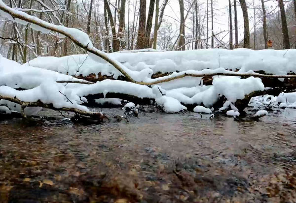山上的雪水如何凈化處理達到生活飲水的指標要求?