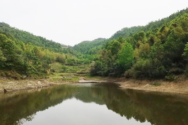 水庫水作為水源的自來水如何處理