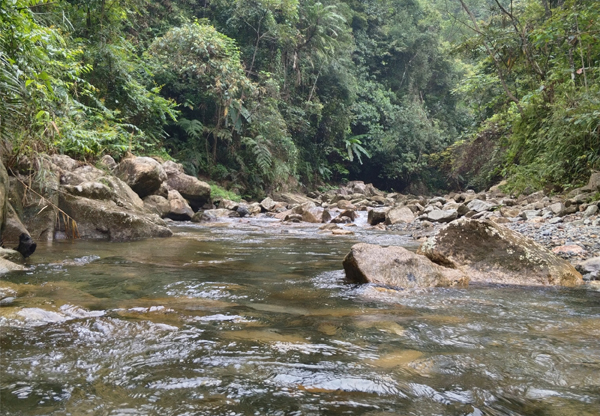 山泉水下雨泥沙多如何處理成自來(lái)水